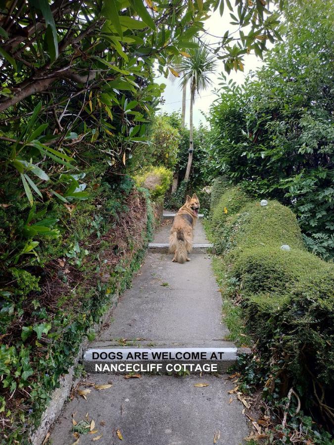 Dog Friendly Nancecliff Cottages Looe Exteriör bild
