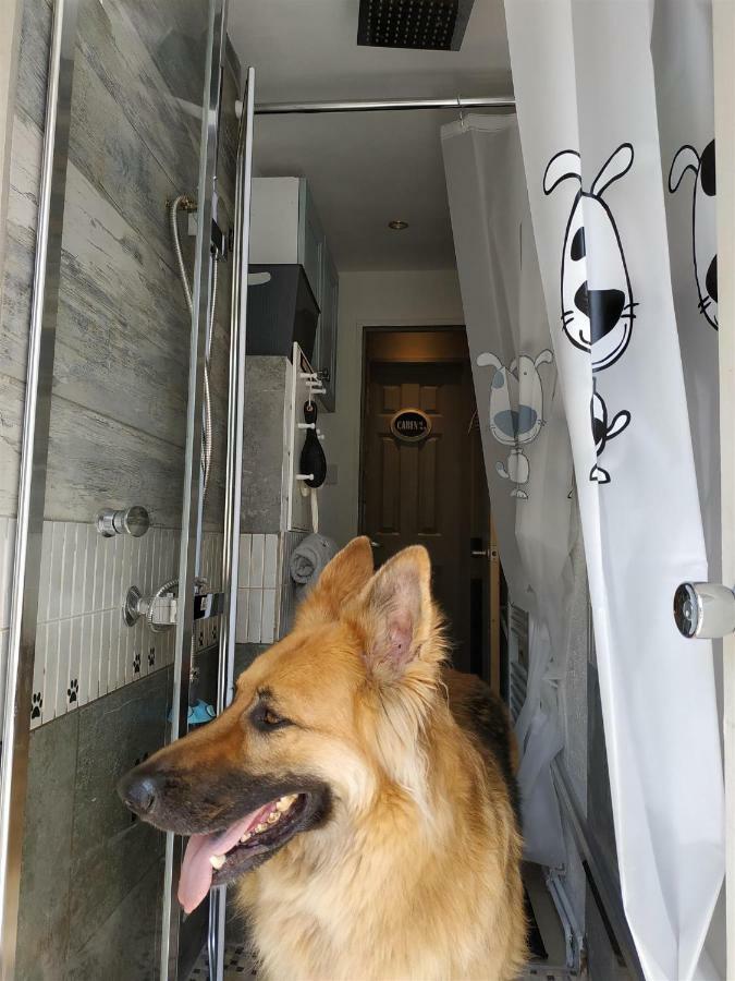Dog Friendly Nancecliff Cottages Looe Exteriör bild