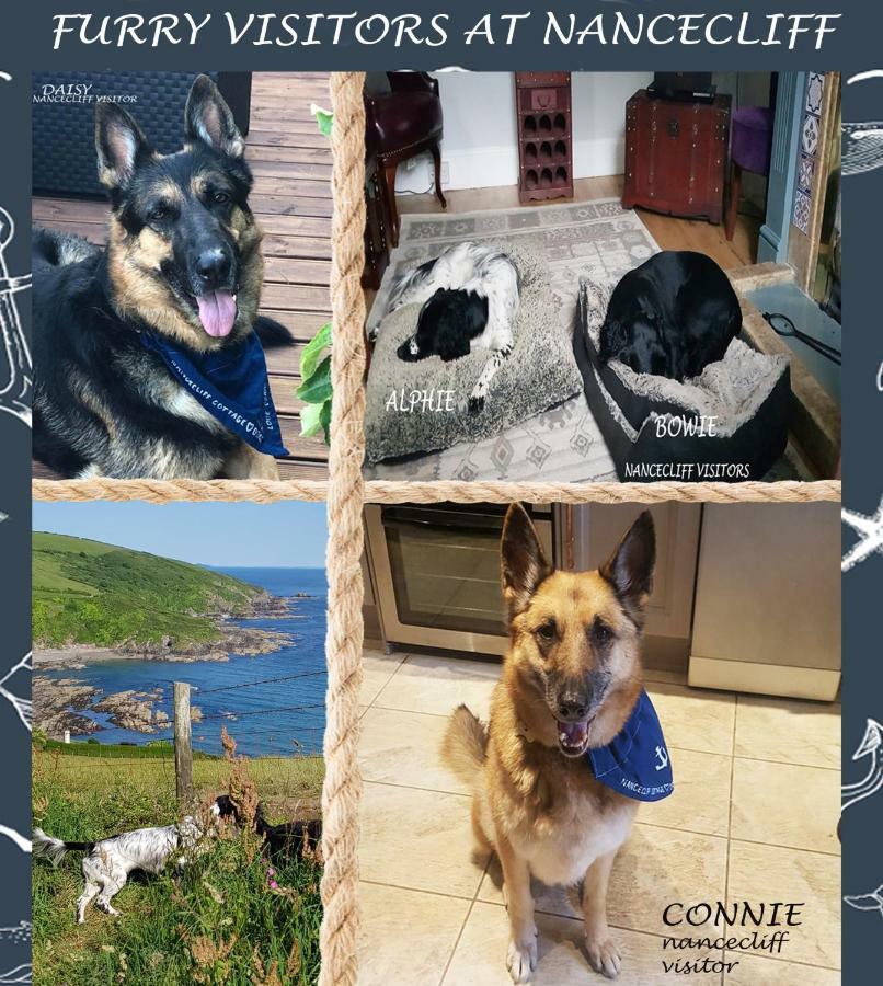 Dog Friendly Nancecliff Cottages Looe Exteriör bild
