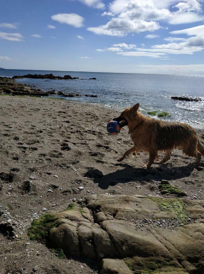 Dog Friendly Nancecliff Cottages Looe Exteriör bild